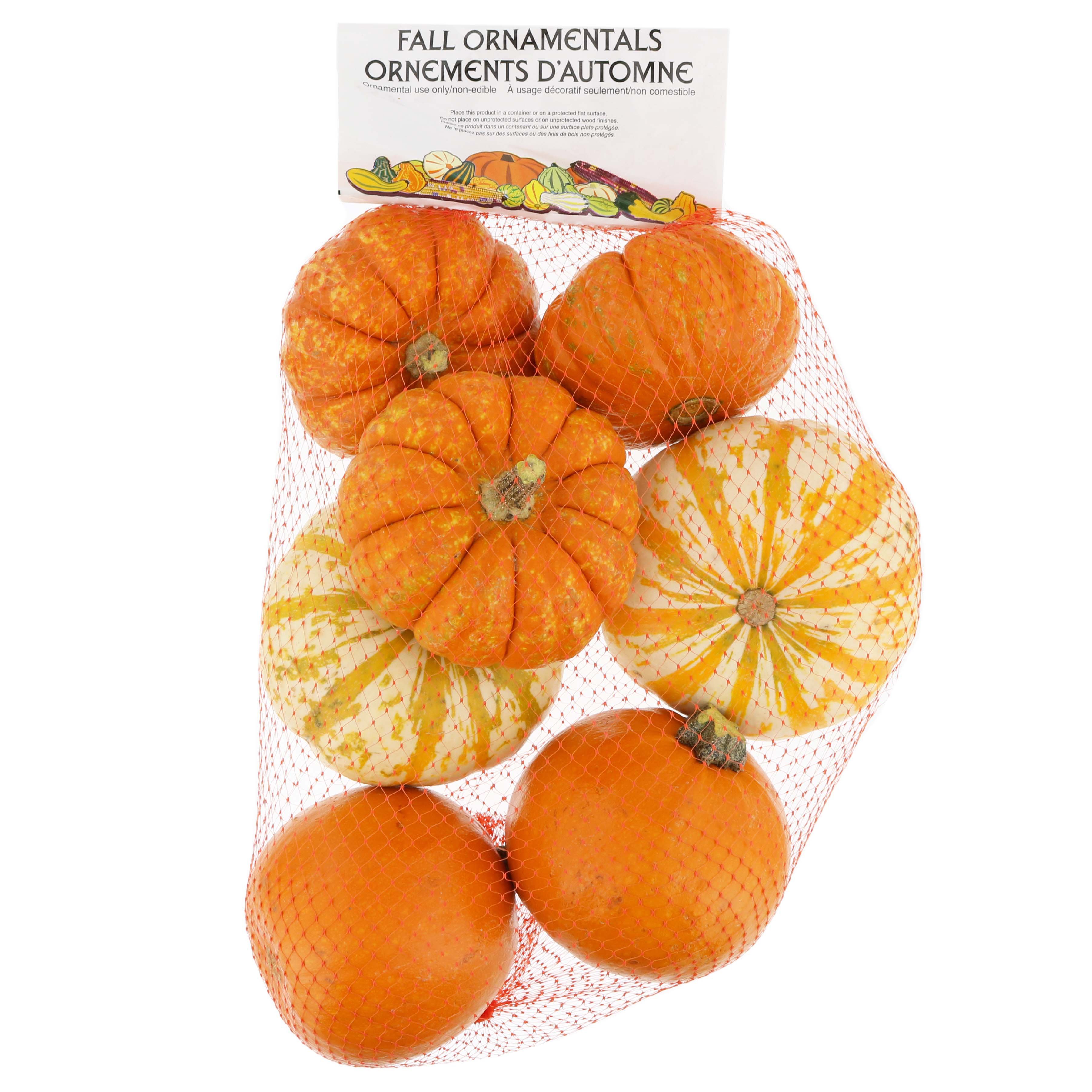 Fall Ornamentals Mini Pumpkins Shop Seasonal Decor At H E B