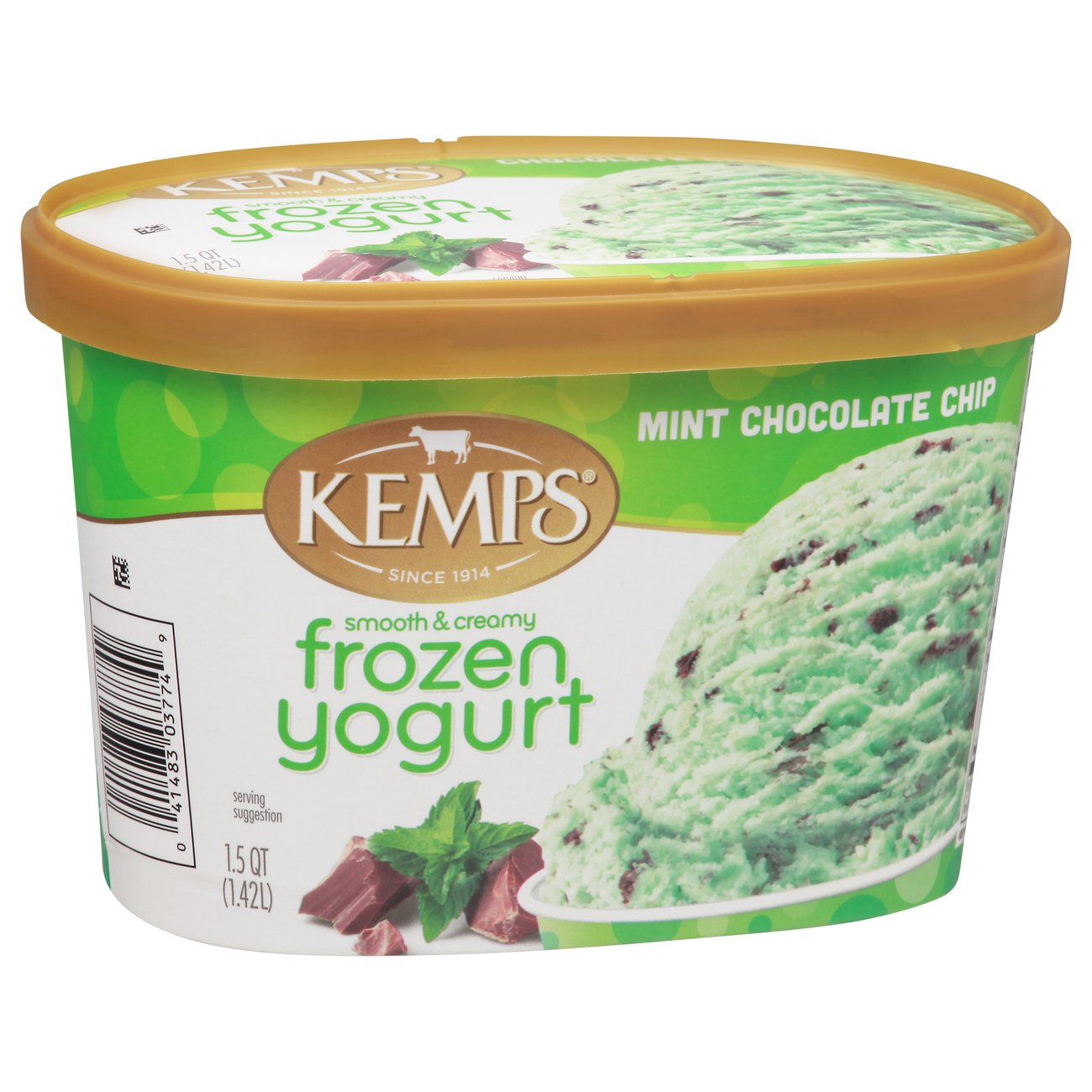 Kemps Mint Chocolate Chip Frozen Yogurt Shop Frozen Yogurt At H E B