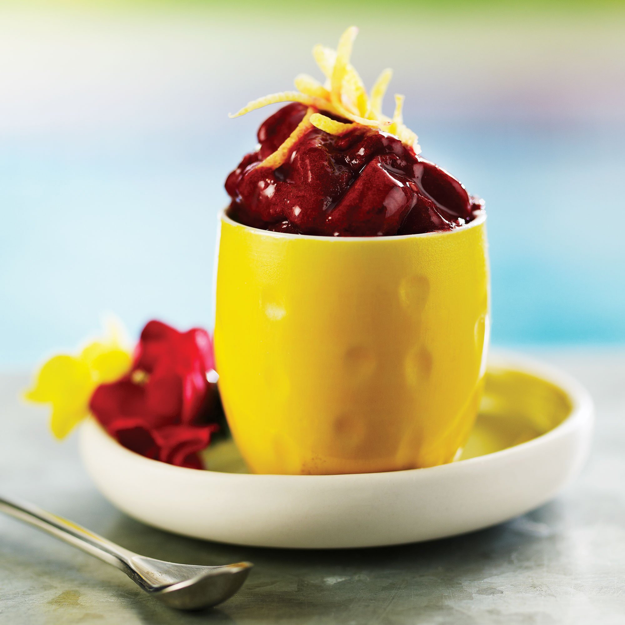 Italian Blackberry Lemon Ice Sorbet Recipe from HEB