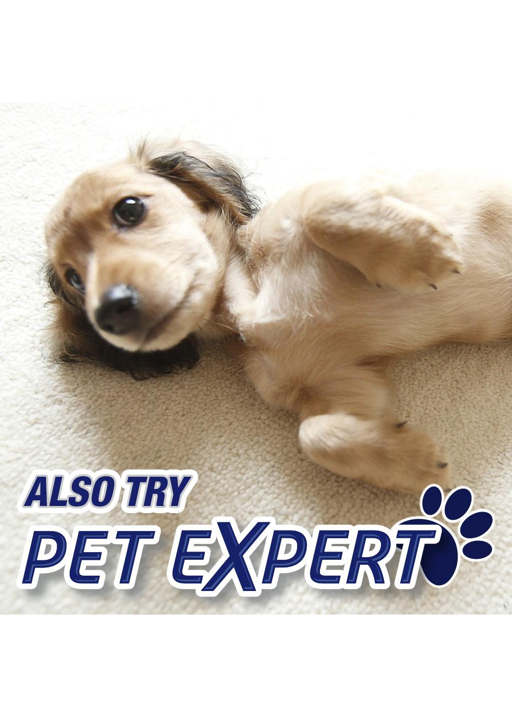 Resolve Heavy Traffic, Pet Stain and Odor Remover Carpet Cleaner Foam; image 4 of 7