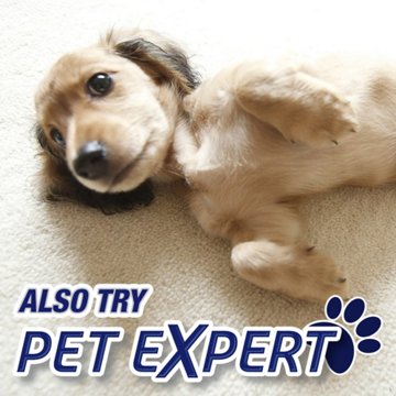 Resolve Heavy Traffic, Pet Stain and Odor Remover Carpet Cleaner Foam, 22 oz