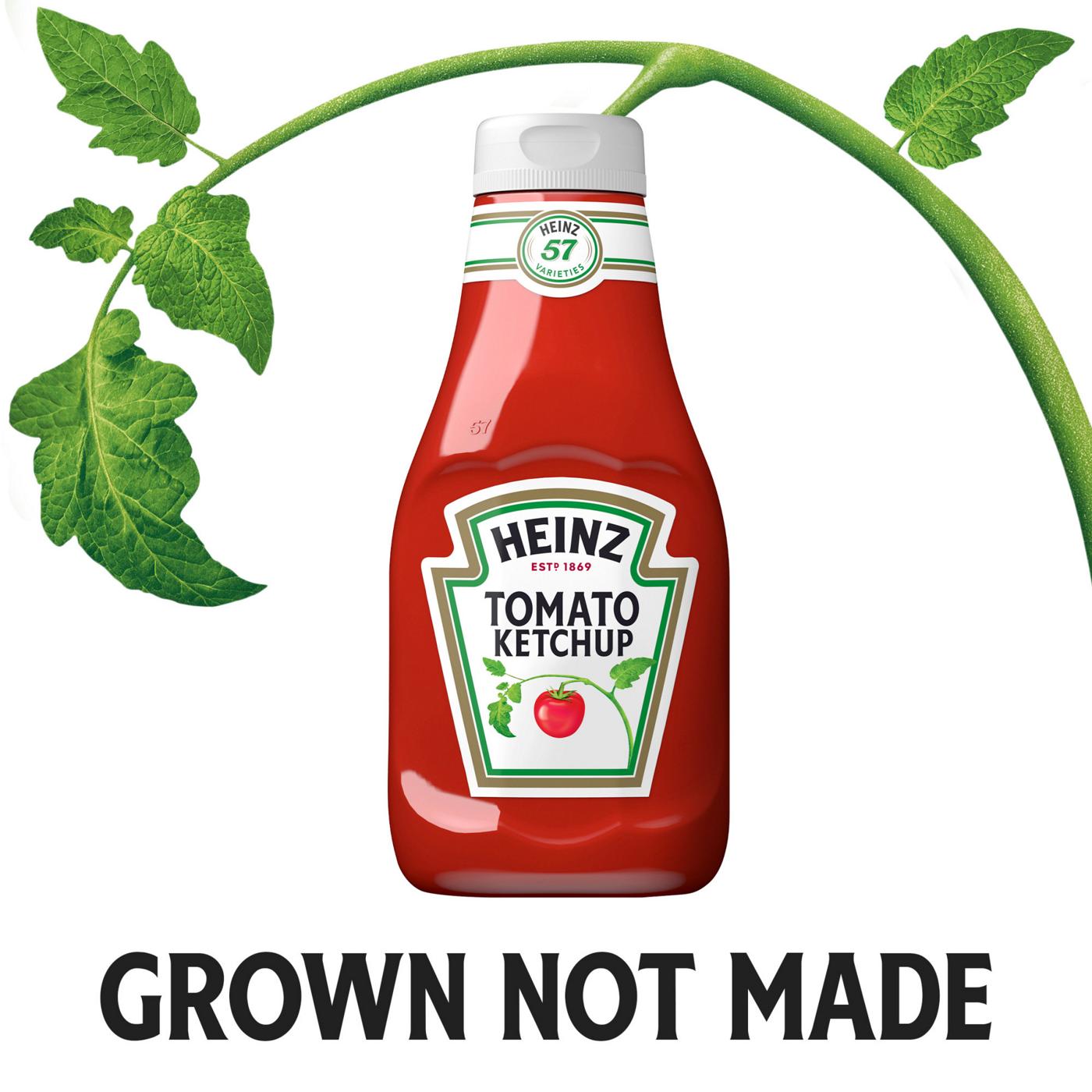 Heinz Tomato Ketchup; image 5 of 7