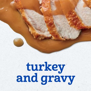 Gerber Mealtime for Baby 2nd Foods - Turkey & Gravy