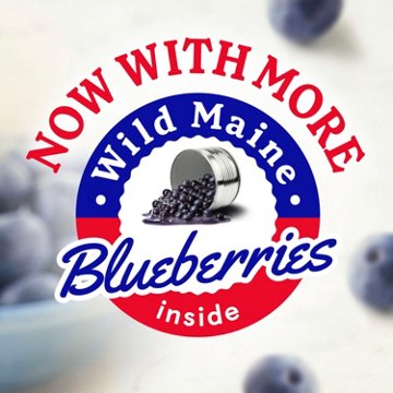 Betty Crocker Wild Blueberry Premium Muffin Mix & Quick Bread Mix, 16.9 oz