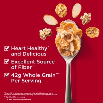 General Mills Oatmeal Crisp Crunchy Almond Cereal