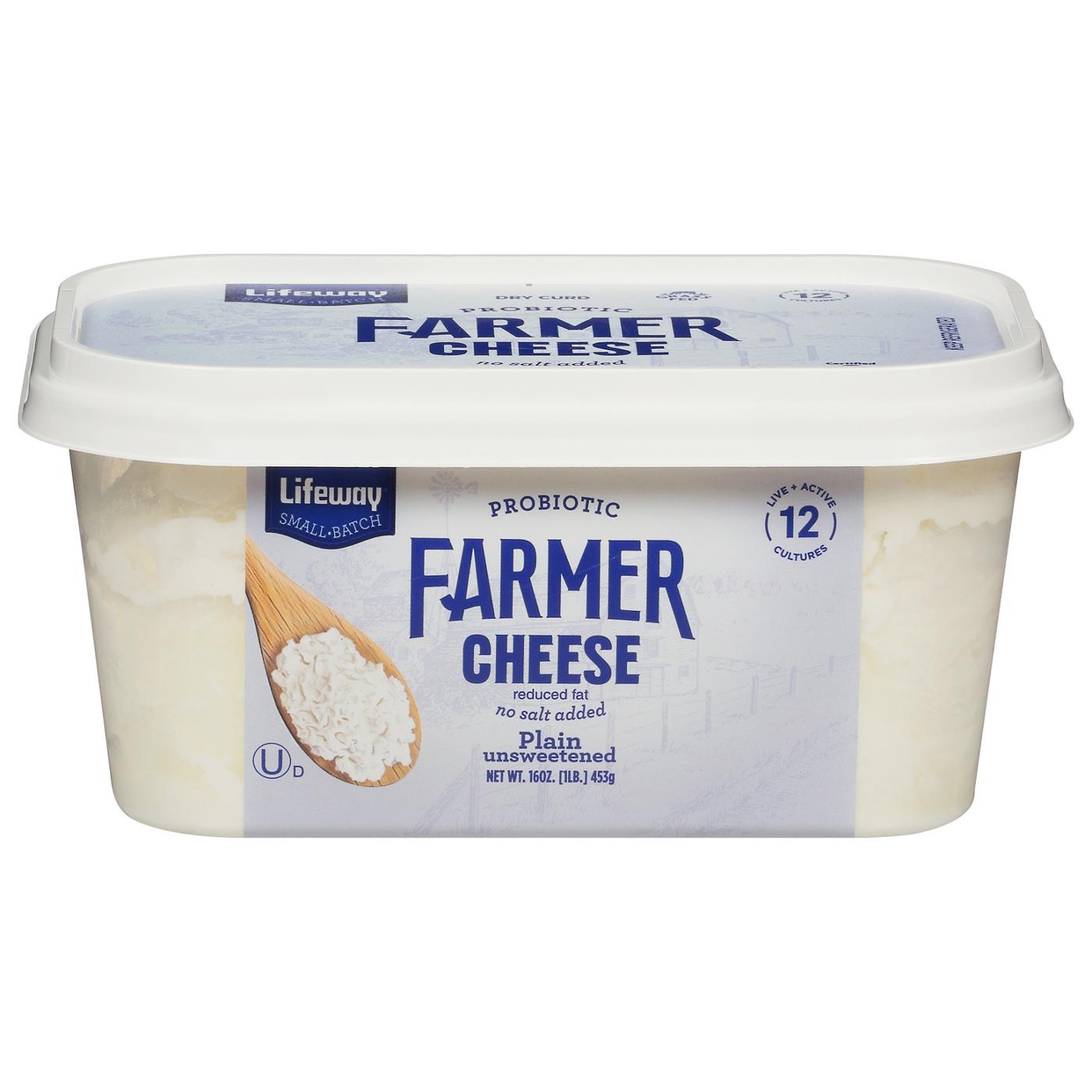 Lifeway Probiotic Farmer Cheese - Plain; image 1 of 2