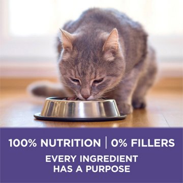Purina ONE Natural Cat Food for Hairball Control +PLUS Hairball Formula
