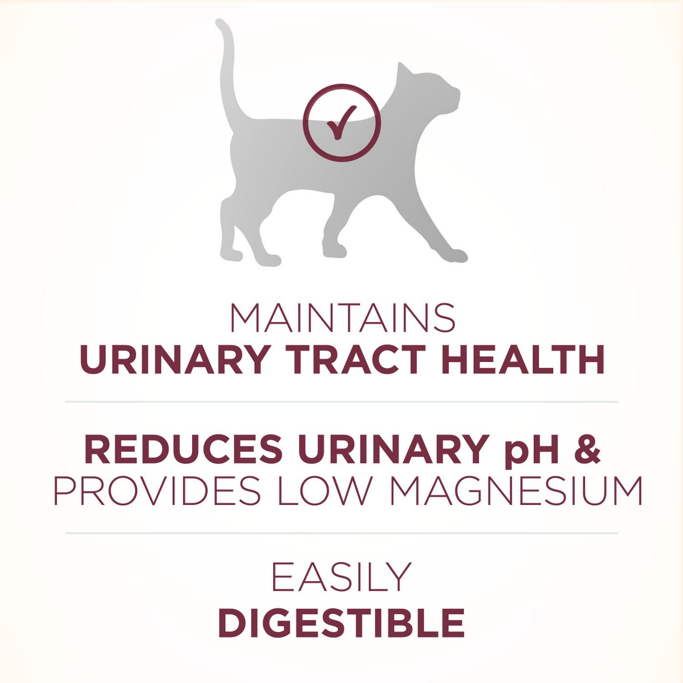 Purina ONE High Protein Dry Cat Food +Plus Urinary Tract Health Formula; image 6 of 9