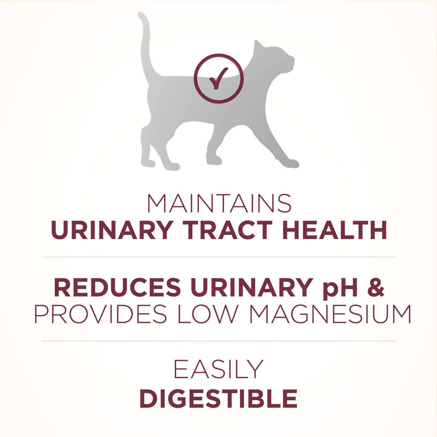 Purina ONE High Protein Dry Cat Food, +Plus Urinary Tract Health Formula; image 6 of 7