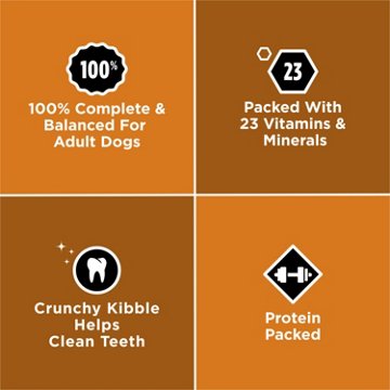 Dog Chow Purina Little Bites Small Breed Dry Dog Food - Real Chicken And Beef