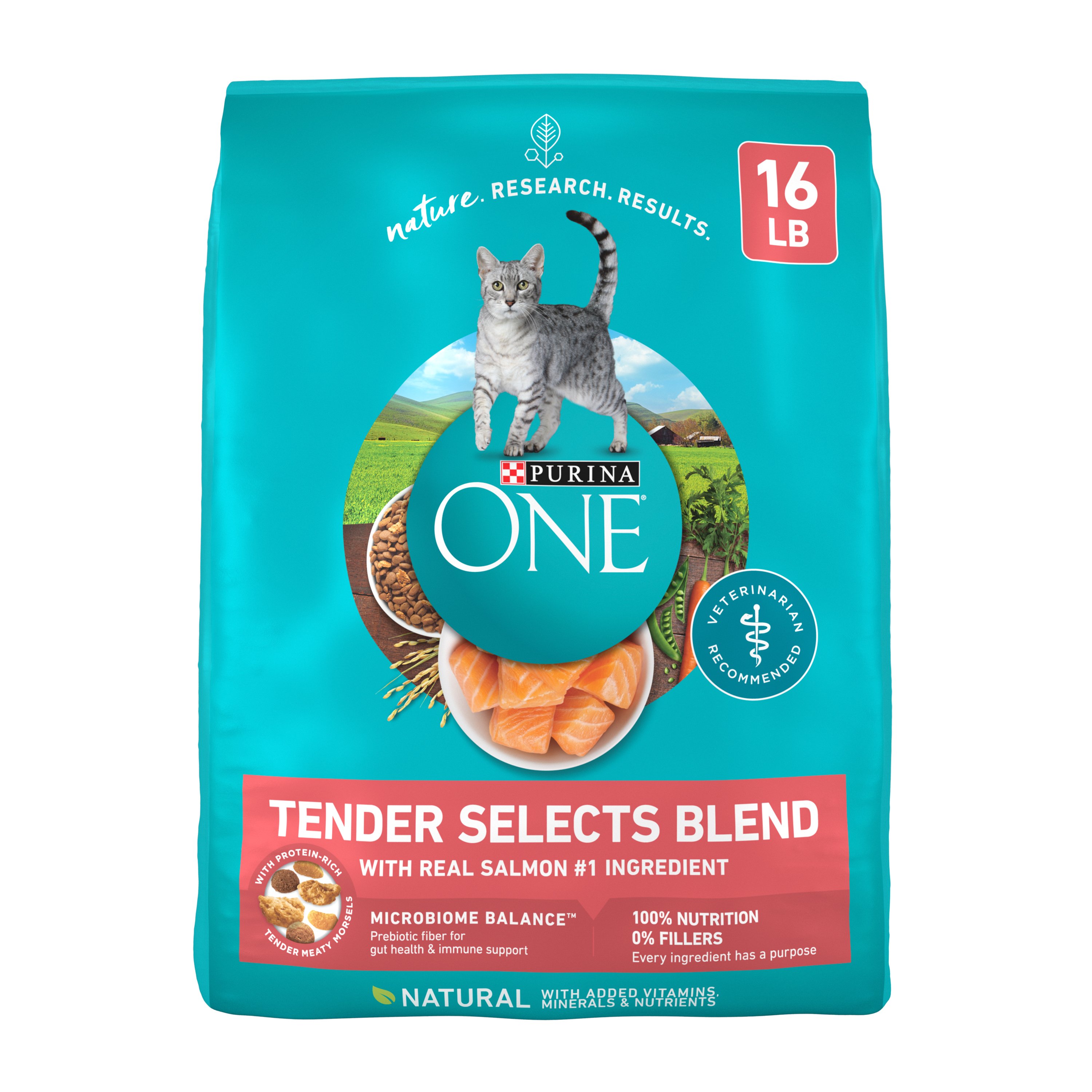 Purina ONE Purina ONE Natural Dry Cat Food, Tender Selects Blend With Real Salmon Shop Food at