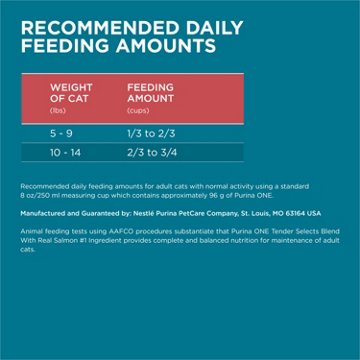 Purina ONE Natural Dry Cat Food - Tender Selects Blend With Real Salmon