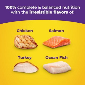 Meow Mix Original Choice Dry Cat Food