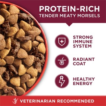 Purina ONE Small Bites  High Protein Dry Dog Food Natural Beef and Rice Formula
