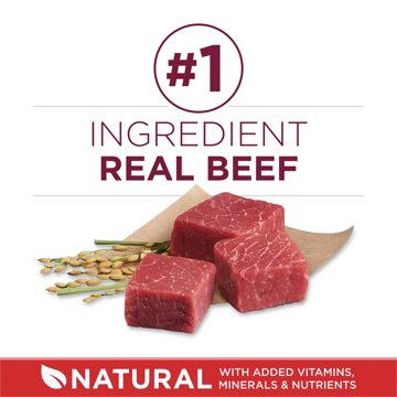 Purina ONE Small Bites  High Protein Dry Dog Food Natural Beef and Rice Formula, 16.5 lb