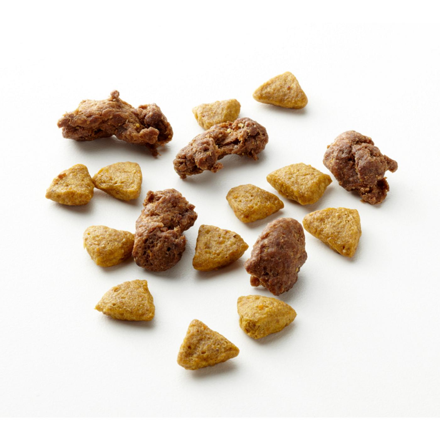 Purina ONE Small Bites  High Protein Dry Dog Food Natural Beef and Rice Formula; image 12 of 12