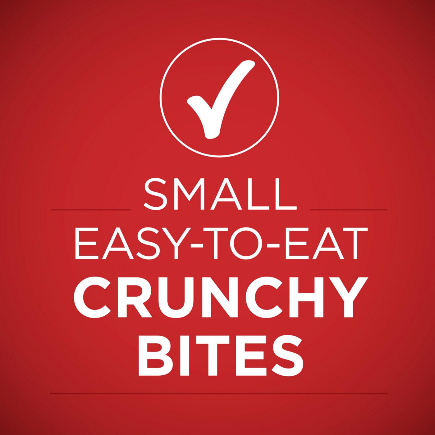 Purina ONE Small Bites  High Protein Dry Dog Food Natural Beef and Rice Formula; image 2 of 12