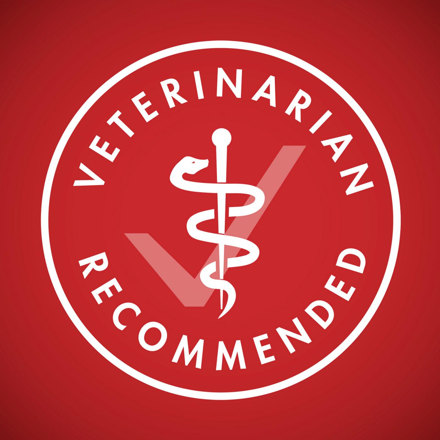 Purina ONE Small Bites  High Protein Dry Dog Food Natural Beef and Rice Formula; image 3 of 12