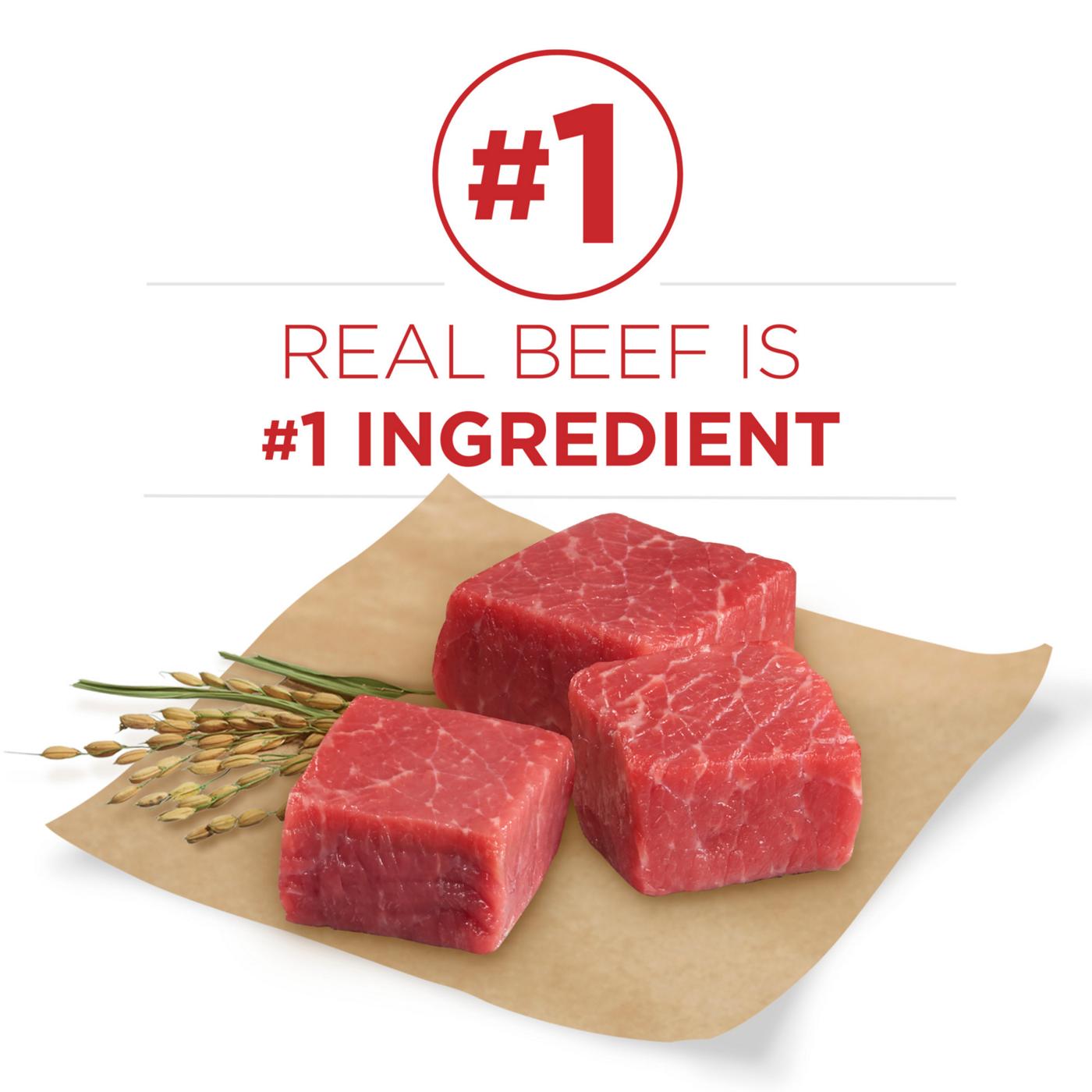 Purina ONE Small Bites  High Protein Dry Dog Food Natural Beef and Rice Formula; image 4 of 12