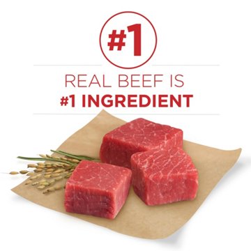 Purina ONE Small Bites  High Protein Dry Dog Food Natural Beef and Rice Formula, 16.5 lb