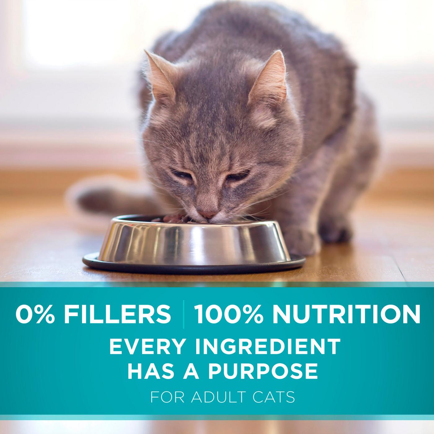 Purina ONE Natural Dry Cat Food - Tender Selects Blend With Real Salmon; image 5 of 7