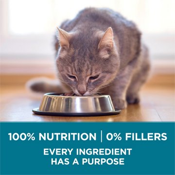 Purina ONE Natural Dry Cat Food - Tender Selects Blend With Real Salmon, 7 lb