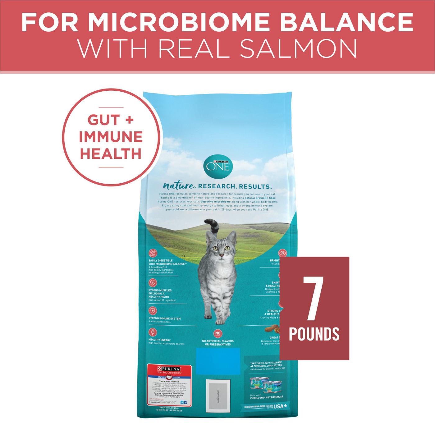 Purina ONE Natural Dry Cat Food - Tender Selects Blend With Real Salmon; image 3 of 6