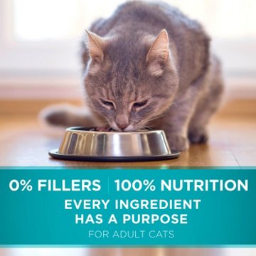 Purina ONE Natural Dry Cat Food - Tender Selects Blend With Real Salmon, 7 lb