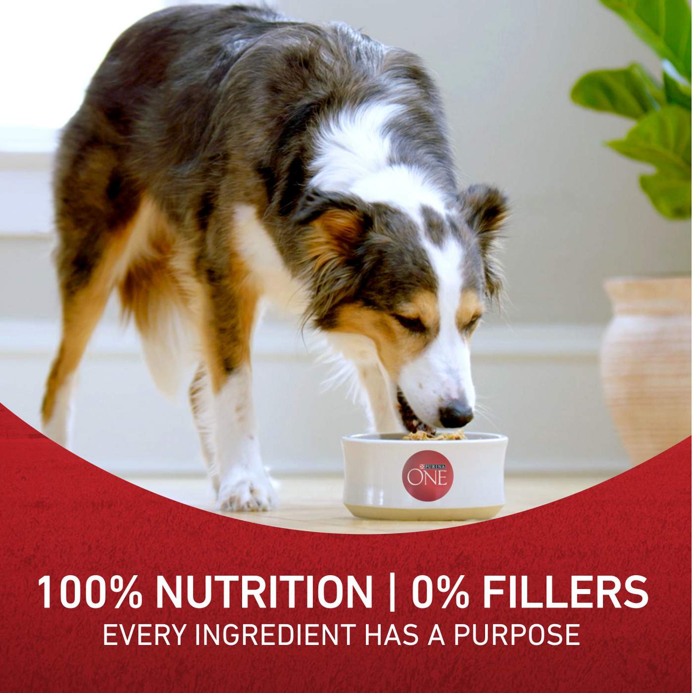 Purina ONE Chicken and Rice Formula Dry Dog Food; image 3 of 6