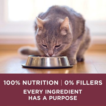 Purina ONE High Protein Dry Cat Food +Plus Urinary Tract Health Formula