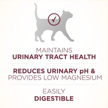 Purina ONE High Protein Dry Cat Food +Plus Urinary Tract Health Formula