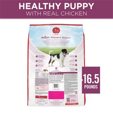 Purina ONE Plus Healthy Puppy Formula High Protein Natural Dry Puppy Food, 16.5 lb