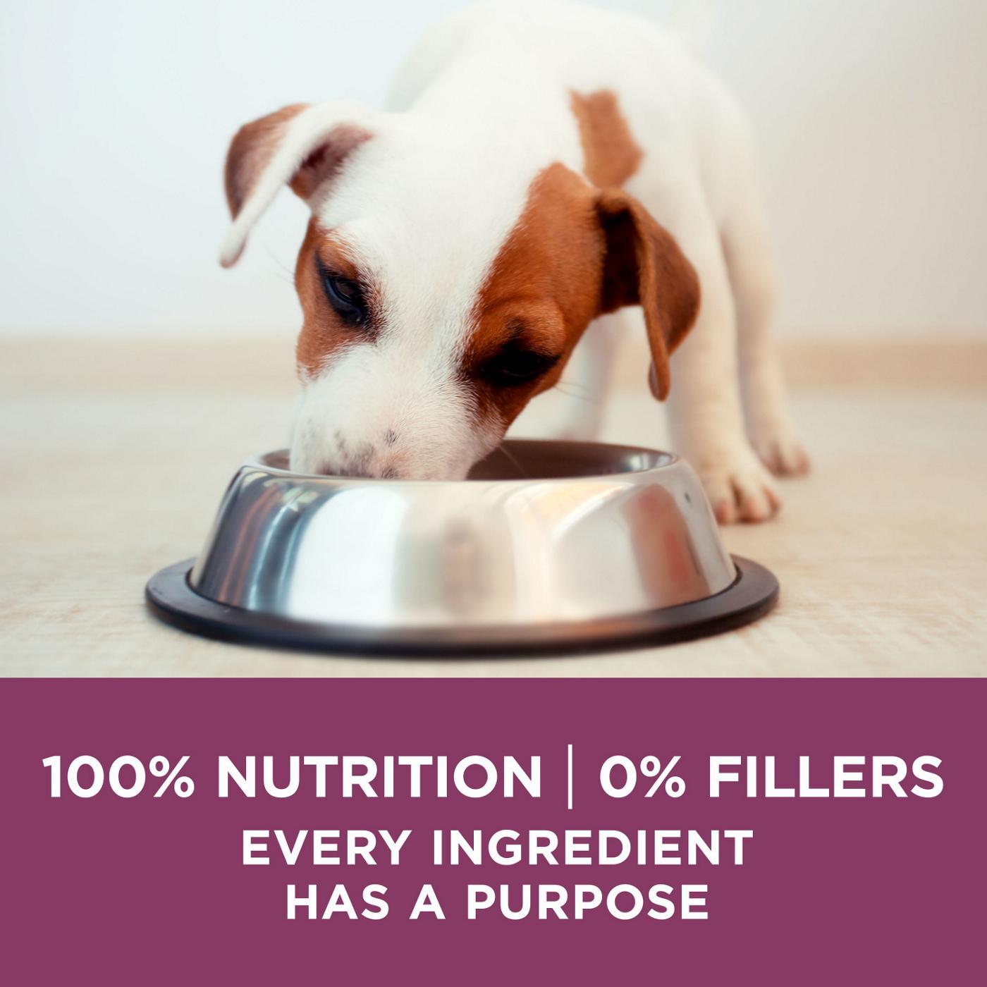 Four health hotsell puppy food