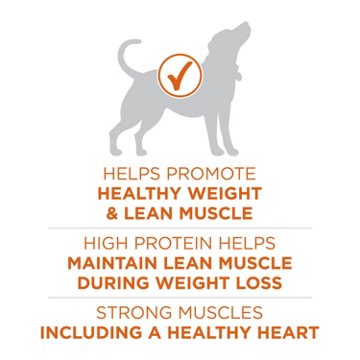Purina ONE Plus Healthy Weight High-Protein Dog Food Dry Formula, 16.5 lb