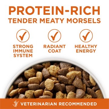 Purina ONE Plus Healthy Weight High-Protein Dog Food Dry Formula, 16.5 lb