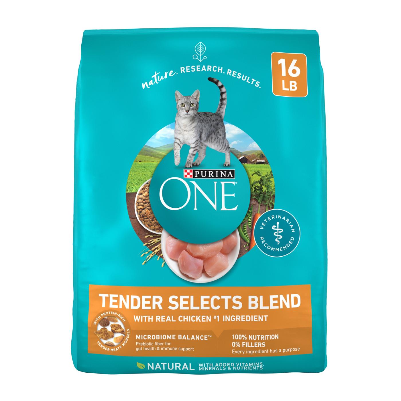Purina ONE Purina ONE Natural Dry Cat Food, Tender Selects Blend With Real Chicken; image 1 of 6