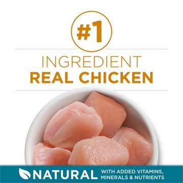 Purina ONE Natural Dry Cat Food - Tender Selects Blend With Real Chicken