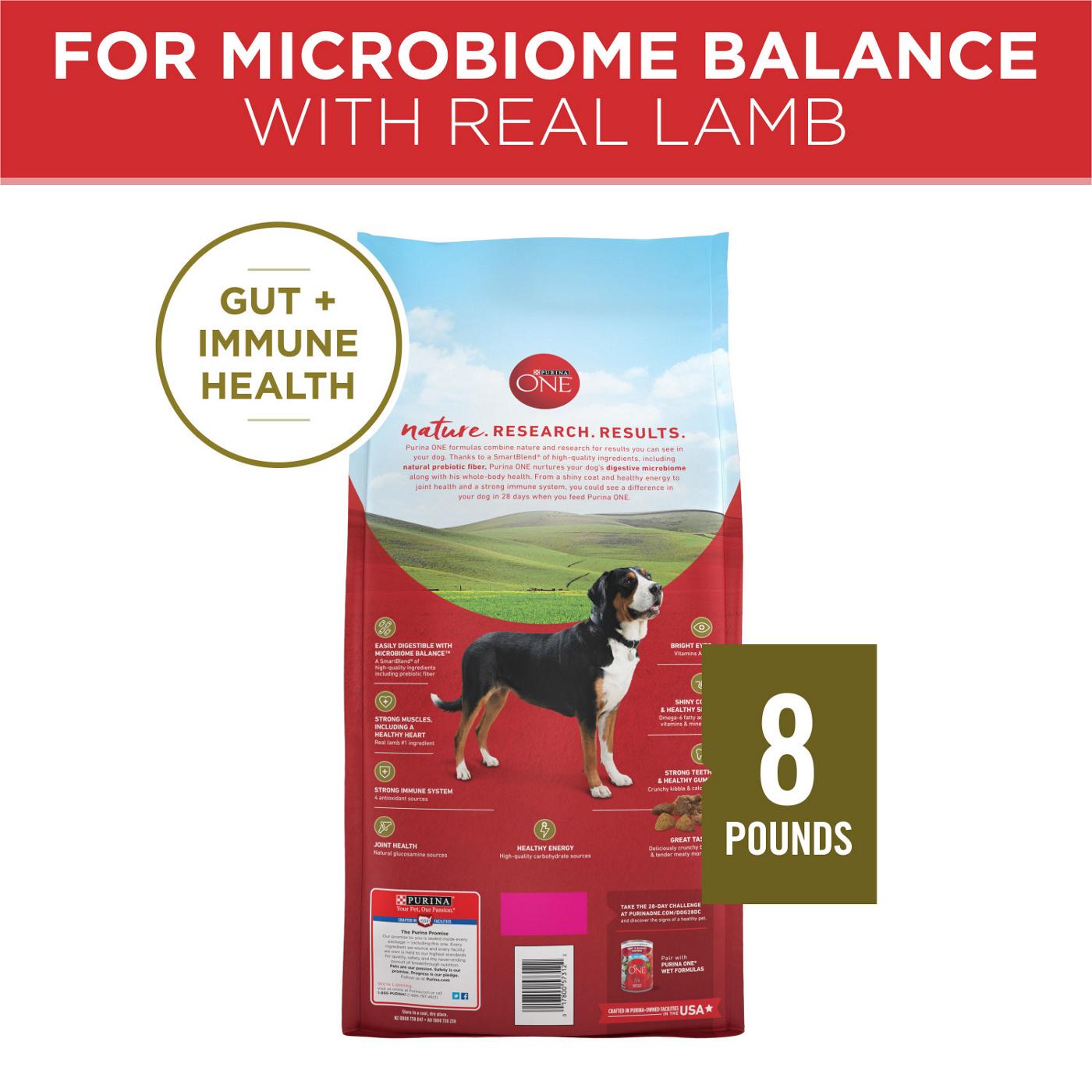 Purina ONE Dry Dog Food Lamb and Rice Formula; image 3 of 7