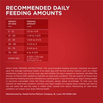 Purina ONE Dry Dog Food - Lamb and Rice Formula