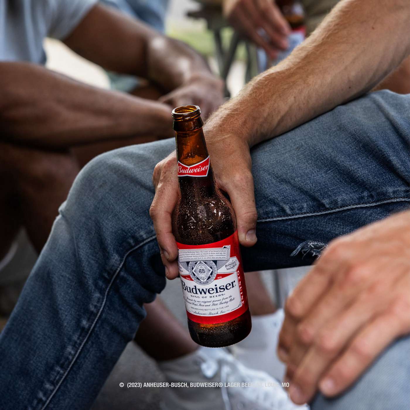 Budweiser Lager Beer Bottle; image 3 of 7