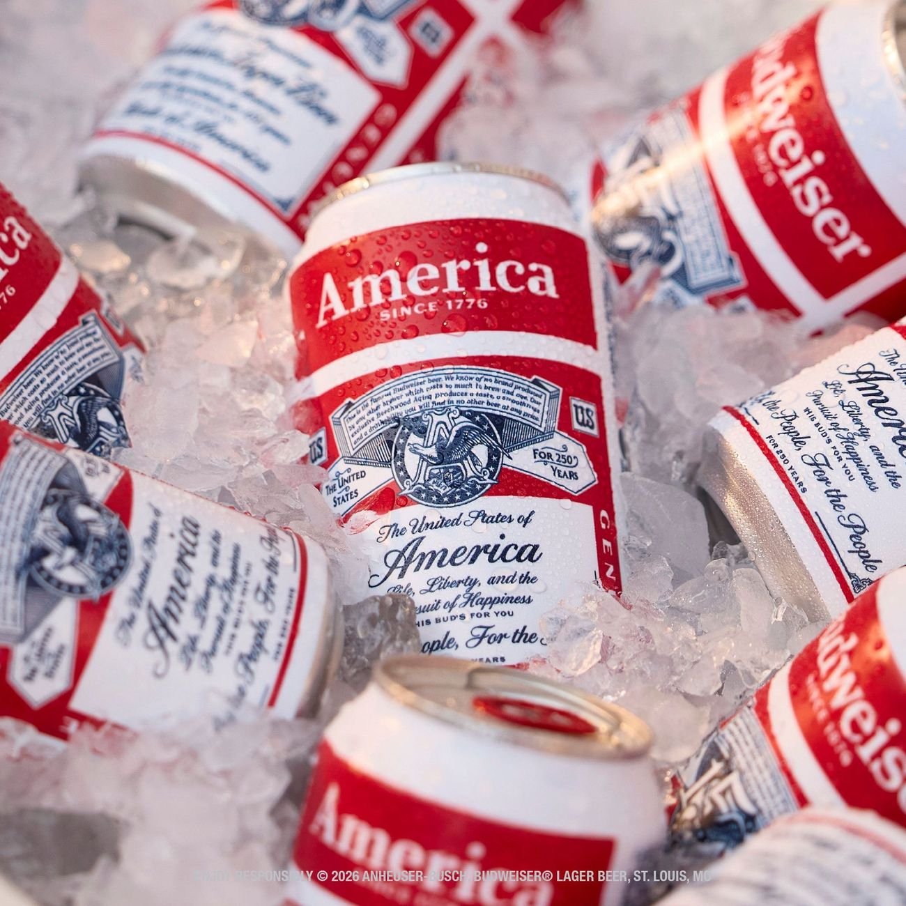 Budweiser American Lager Beer 6 pk Cans - Shop Beer at H-E-B