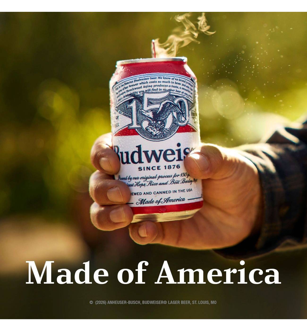 Budweiser American Lager Beer Cans, 6 pk; image 3 of 8