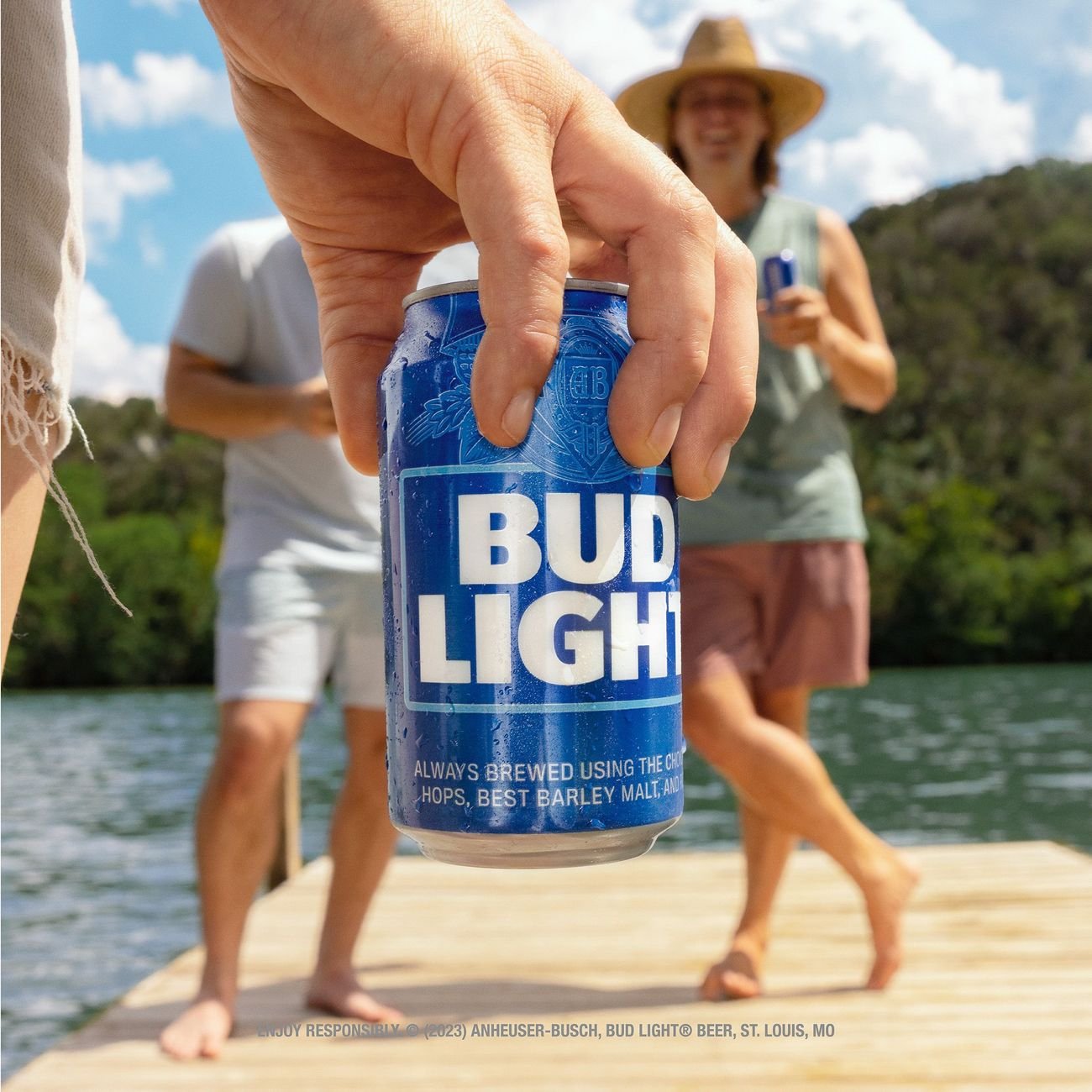 What Percent Alcohol Is Bud Light Beer | Shelly Lighting