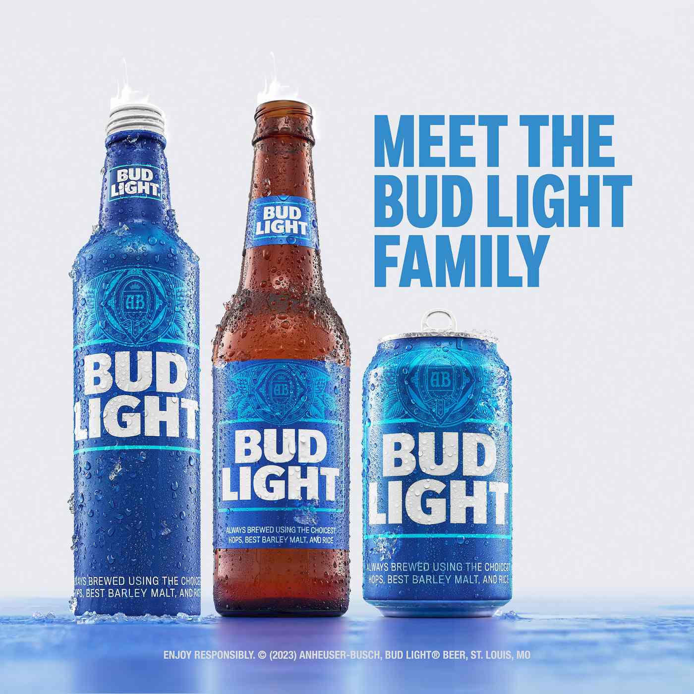 Bud Light Lager Beer Bottle; image 5 of 7