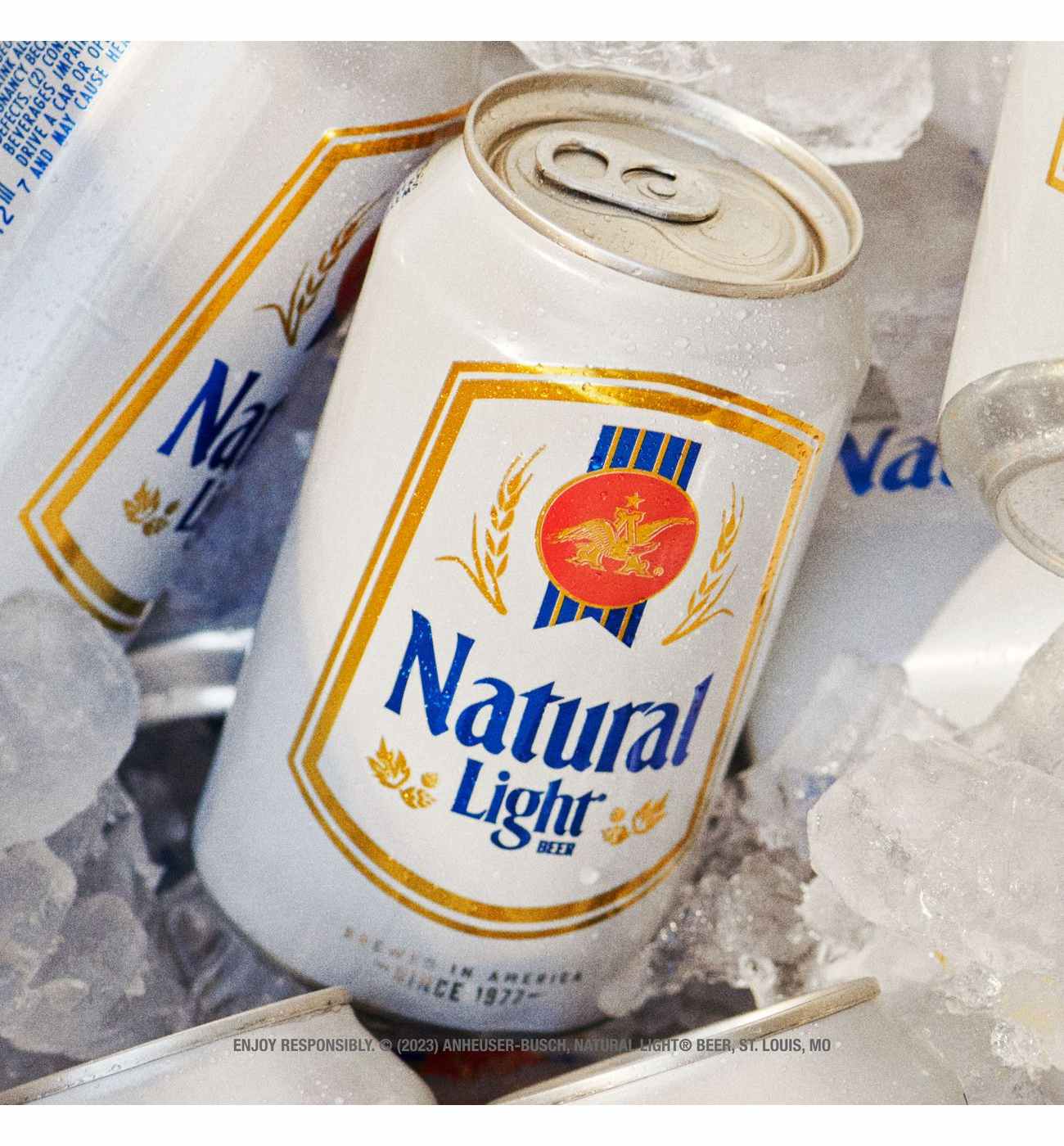 Natural Light Beer Bottle; image 4 of 8