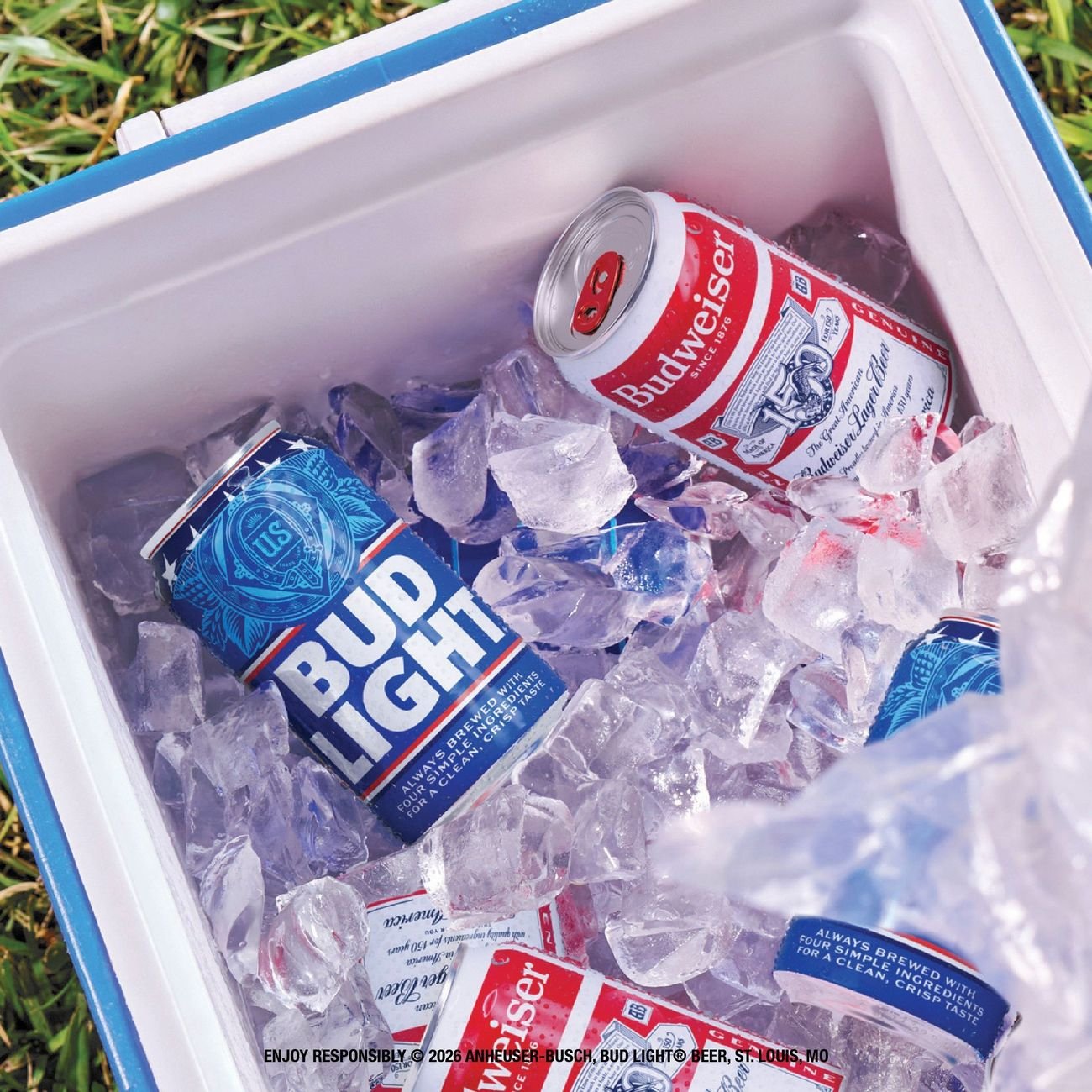 Bud Light American Lager Beer Cans, 30 pack - Shop Beer at H-E-B