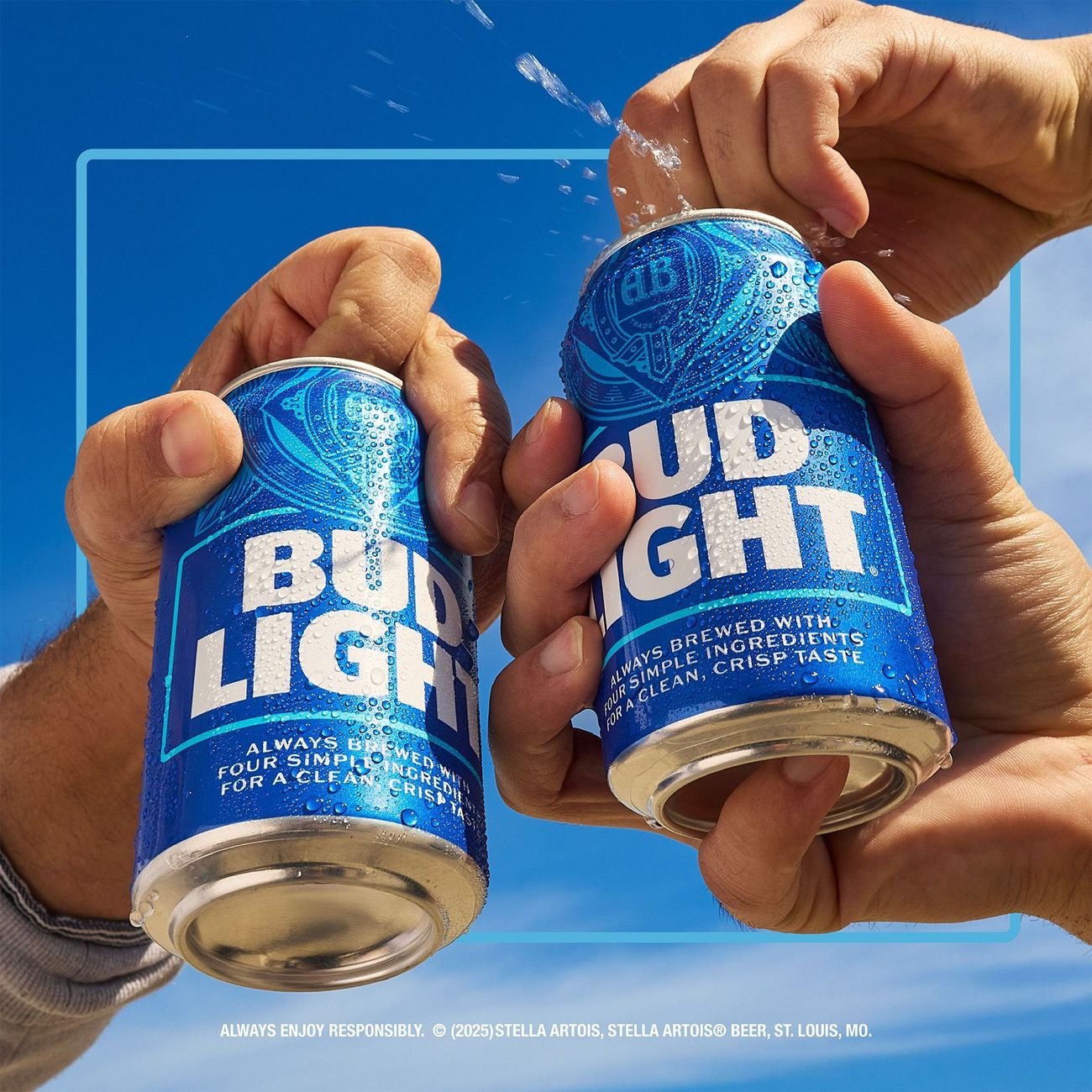 Bud Light American Lager Beer 30 pk Cans - Shop Beer at H-E-B