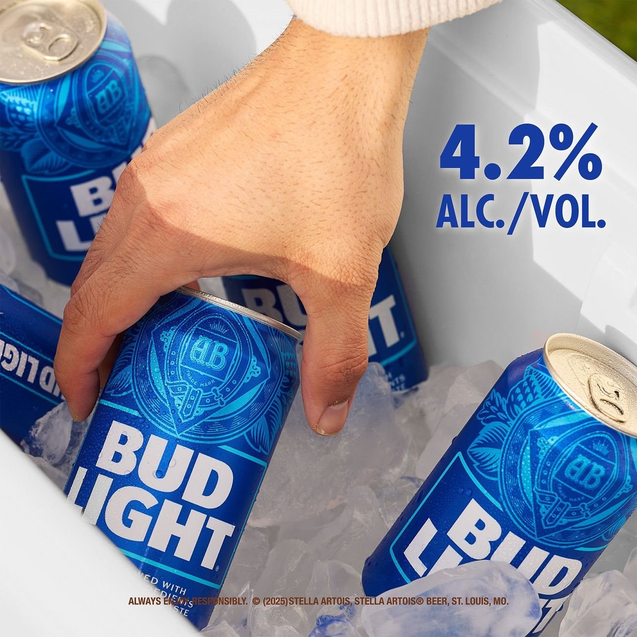 Bud Light American Lager Beer 30 pk Cans - Shop Beer at H-E-B