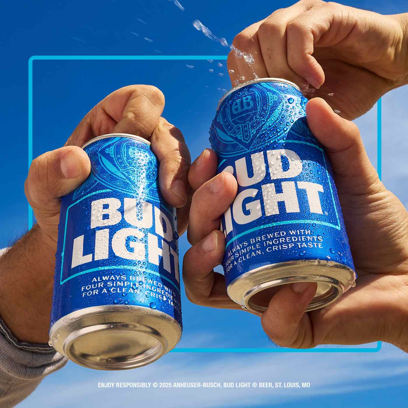 Bud Light American Lager Beer Cans, 30 pack - Shop Beer at H-E-B