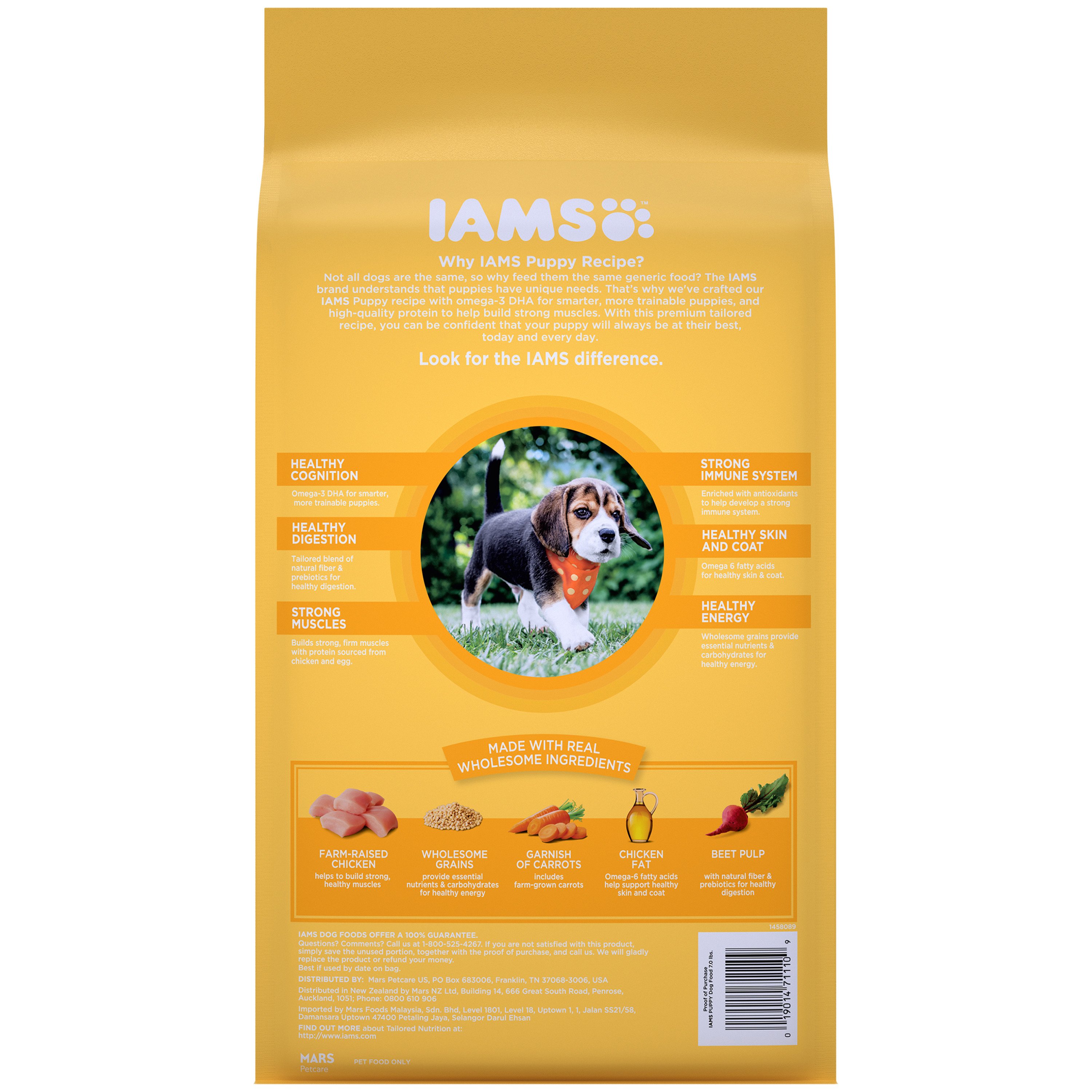 Iams puppy food outlet how much to feed